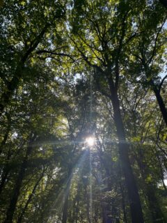 Soms liggen blijdschap en verdriet verrassend dicht bij elkaar. Zo dicht zelfs, dat ze elkaar zomaar binnen 24 uur kunnen afwisselen; op vrijdag een huwelijk, op zaterdag een uitvaart. 

Afgelopen weekend mocht ik mijn allereerste uitvaart als uitvaartspreker begeleiden. Bijzonder, intens en vooral heel eervol. Woorden geven aan een leven, herinneringen ophalen en samen met een familie stilstaan bij iemand die zo belangrijk voor hen is geweest. Het was verdrietig, maar ook ontzettend mooi om te mogen doen.

De wereld van uitvaarten is voor mij eigenlijk nooit een onbekende wereld geweest. Mijn moeder heeft die altijd heel vanzelfsprekend en open gemaakt. Ze sprak erover, was er nieuwsgierig naar en had er zelf graag in willen werken. En dat maakt deze eerste keer voor mij extra bijzonder.

Toen ik mijn bedrijf de naam Liefdeswoorden gaf, deed ik dat bewust. Omdat ik hoopte dat ik ooit woorden zou mogen geven aan zowel het vieren van de liefde als het afscheid nemen van iemand die je lief is. Trouwen én rouwen. Twee momenten die op het eerste gezicht heel verschillend zijn, maar waarin woorden, verhalen en liefde zo belangrijk kunnen zijn.

En nu was daar ineens die eerste stap.
26-09-26 werd een bijzondere dag. Voor een bijzondere man. Met een bijzonder mooi afscheid. 

Wie weet wat de toekomst brengt… 🤍